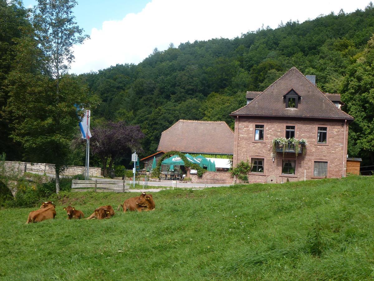 Lohr Hotelgasthof Buchenmuehle מראה חיצוני תמונה